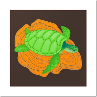 Mud turtle Posters and Art